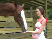 Meisje dat paard voedt